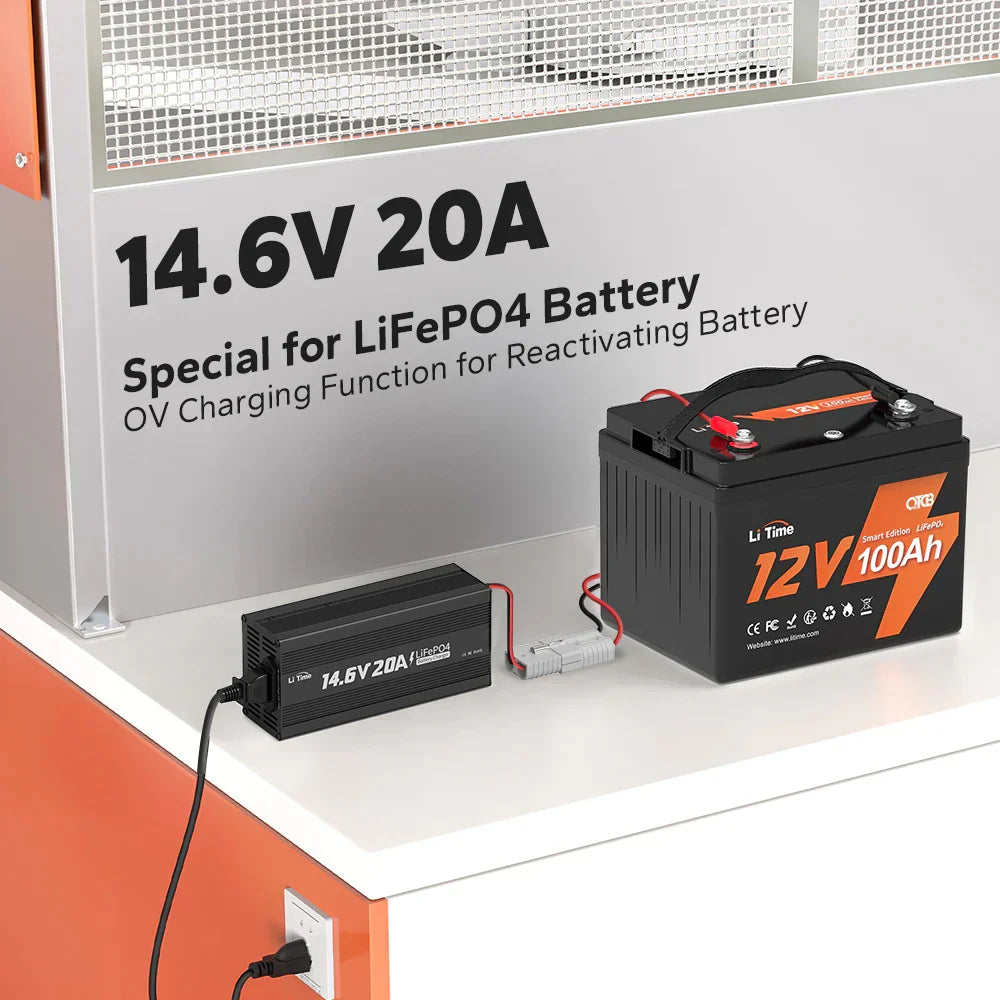 LiTime Caricabatterie al Litio LiFePO4 da 12V 20A - Caricatore Li Time