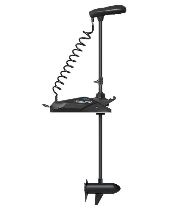Haswing Italia Motore kayak da prua modello Cayman 55LB cod. HSW50743_184 new - gambo 183 cm funzione ancora e GPS per MARE e LAGO