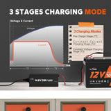 LiTime Caricabatterie al Litio LiFePO4 da 12V 20A  - Caricatore Li Time
