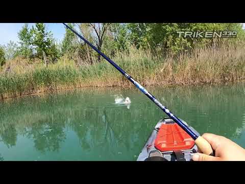 BIG MAMA KAYAK A PEDALI TRIKEN 330 con Pulpito Inox + Piastra sgancio rapido + motore HASWING Cayman 55lb funzione ancora e GPS per MARE e LAGO