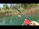 BIG MAMA KAYAK A PEDALI TRIKEN 330 con Pulpito Inox + Piastra sgancio rapido + motore HASWING Cayman 55lb funzione ancora e GPS per MARE e LAGO